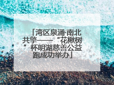 湾区泉涌·南北共擎——“花楸树”杯明湖慈善公益跑成功举办