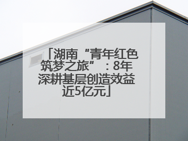 湖南“青年红色筑梦之旅”：8年深耕基层创造效益近5亿元