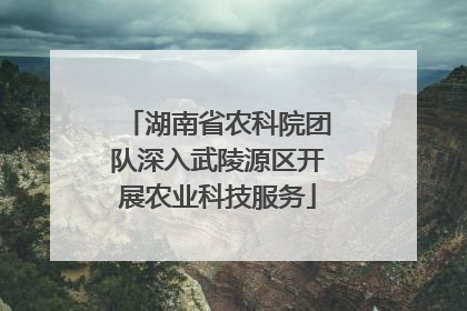 湖南省农科院团队深入武陵源区开展农业科技服务