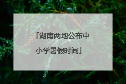 湖南两地公布中小学暑假时间