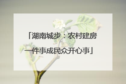 湖南城步：农村建房一件事成民众开心事