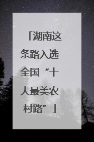 湖南这条路入选全国“十大最美农村路”