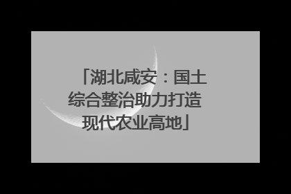 湖北咸安：国土综合整治助力打造现代农业高地
