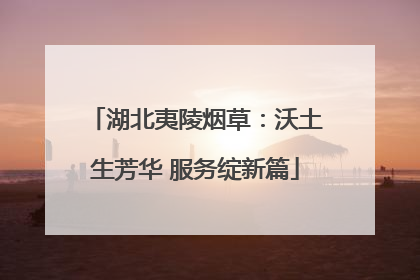 湖北夷陵烟草：沃土生芳华 服务绽新篇