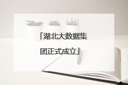 湖北大数据集团正式成立