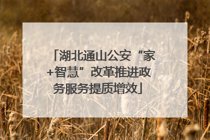 湖北通山公安“家+智慧”改革推进政务服务提质增效