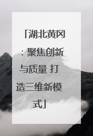 湖北黄冈：聚焦创新与质量 打造三维新模式