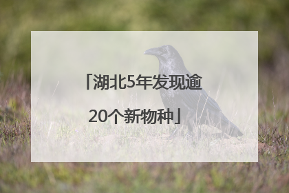 湖北5年发现逾20个新物种