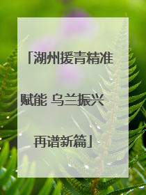 湖州援青精准赋能 乌兰振兴再谱新篇