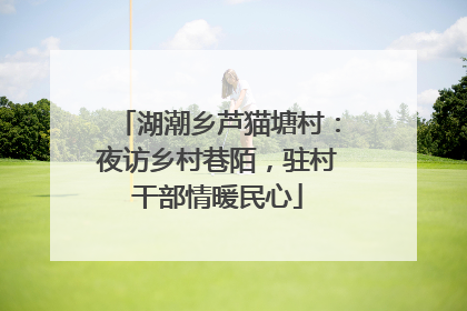 湖潮乡芦猫塘村：夜访乡村巷陌，驻村干部情暖民心