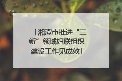 湘潭市推进“三新”领域妇联组织建设工作见成效