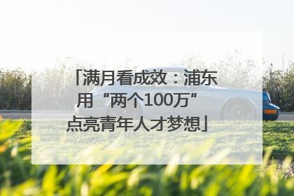 满月看成效：浦东用“两个100万”点亮青年人才梦想