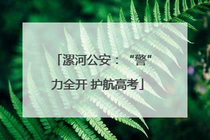 漯河公安：“警”力全开 护航高考