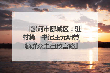 漯河市郾城区：驻村第一书记王元明带领群众走出致富路