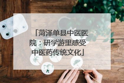 菏泽单县中医医院：研学游里感受中医药传统文化