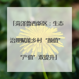 菏泽鲁西新区：生态治理赋能乡村“颜值”“产值”双提升