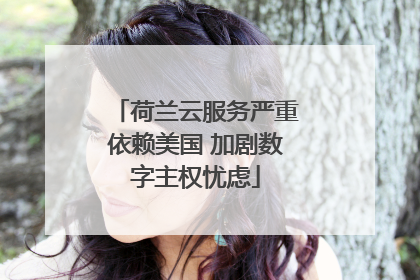 荷兰云服务严重依赖美国 加剧数字主权忧虑