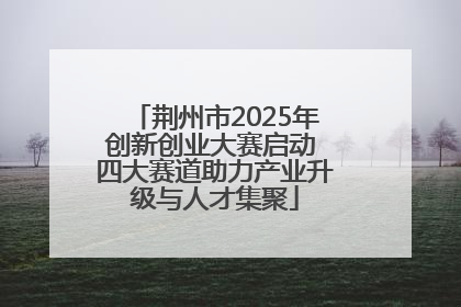 荆州市2025年创新创业大赛启动 四大赛道助力产业升级与人才集聚