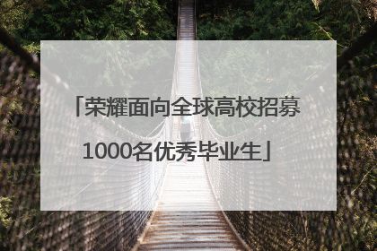 荣耀面向全球高校招募1000名优秀毕业生
