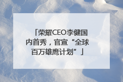 荣耀CEO李健国内首秀，官宣“全球百万雄鹰计划”