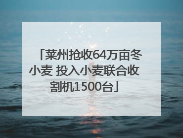 莱州抢收64万亩冬小麦 投入小麦联合收割机1500台