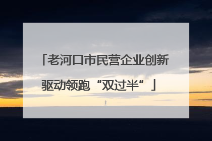 老河口市民营企业创新驱动领跑“双过半”