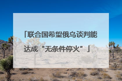 联合国希望俄乌谈判能达成“无条件停火”