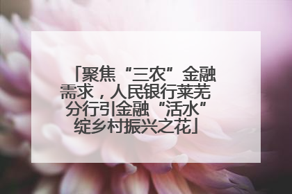 聚焦“三农”金融需求，人民银行莱芜分行引金融“活水”绽乡村振兴之花