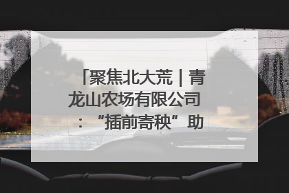聚焦北大荒｜青龙山农场有限公司：“插前寄秧”助力农业节本增效
