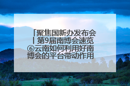 聚焦国新办发布会丨第9届南博会速览⑥云南如何利用好南博会的平台带动作用，深化与南亚国家的交流与合作？