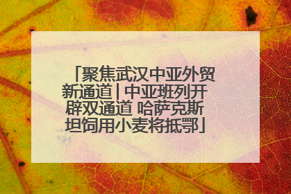 聚焦武汉中亚外贸新通道│中亚班列开辟双通道 哈萨克斯坦饲用小麦将抵鄂