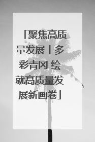 聚焦高质量发展丨多彩青冈 绘就高质量发展新画卷