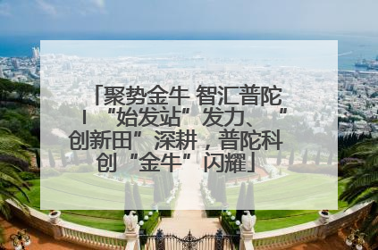 聚势金牛 智汇普陀〡“始发站”发力、“创新田”深耕，普陀科创“金牛”闪耀