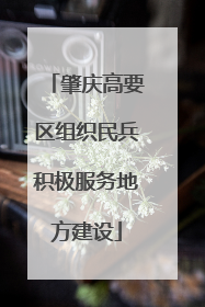 肇庆高要区组织民兵积极服务地方建设
