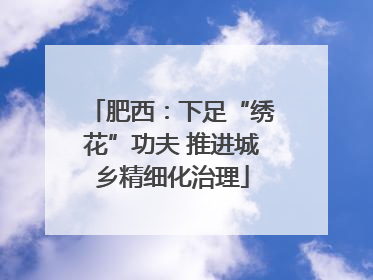 肥西：下足“绣花”功夫 推进城乡精细化治理