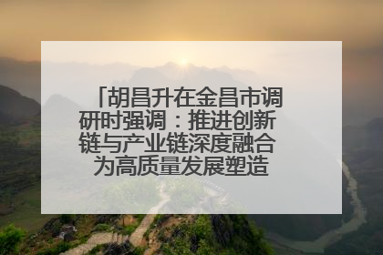 胡昌升在金昌市调研时强调：推进创新链与产业链深度融合 为高质量发展塑造新动能新优势