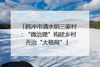 腾冲市清水镇三家村：“微治理”构建乡村善治“大格局”