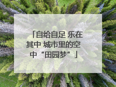 自给自足 乐在其中 城市里的空中“田园梦”