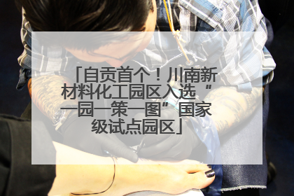 自贡首个！川南新材料化工园区入选“一园一策一图”国家级试点园区