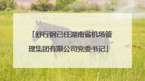 舒行钢已任湖南省机场管理集团有限公司党委书记