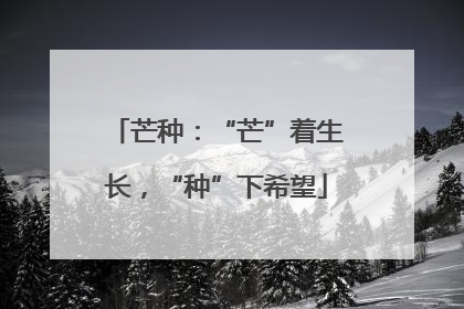芒种：“芒”着生长，“种”下希望