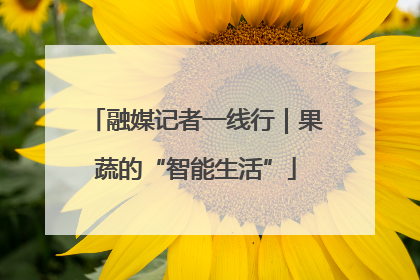 融媒记者一线行｜果蔬的“智能生活”