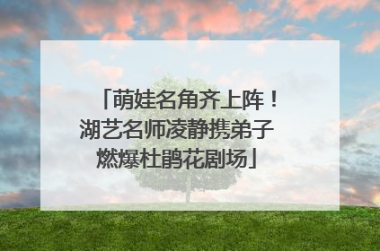 萌娃名角齐上阵！湖艺名师凌静携弟子燃爆杜鹃花剧场