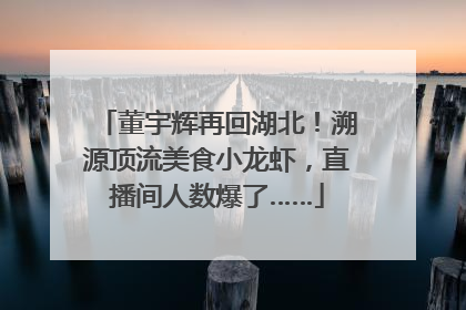 董宇辉再回湖北！溯源顶流美食小龙虾，直播间人数爆了……