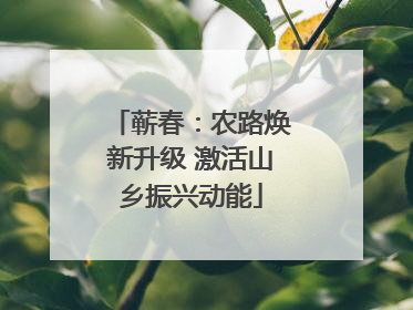 蕲春：农路焕新升级 激活山乡振兴动能