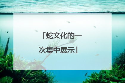 蛇文化的一次集中展示