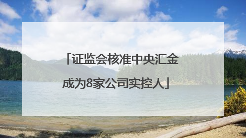 证监会核准中央汇金成为8家公司实控人