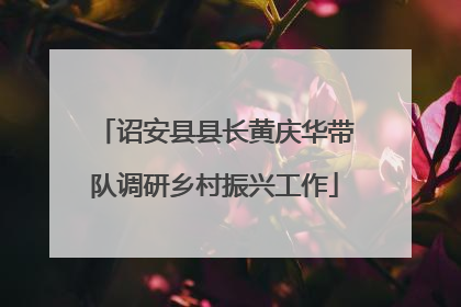 诏安县县长黄庆华带队调研乡村振兴工作