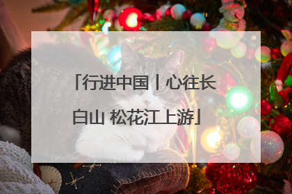行进中国丨心往长白山 松花江上游