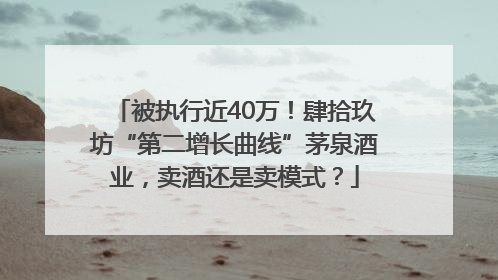 被执行近40万！肆拾玖坊“第二增长曲线”茅泉酒业，卖酒还是卖模式？